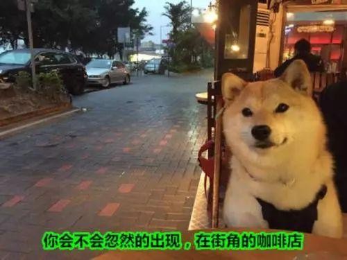 长沙单身微信万人相亲会了解一下！